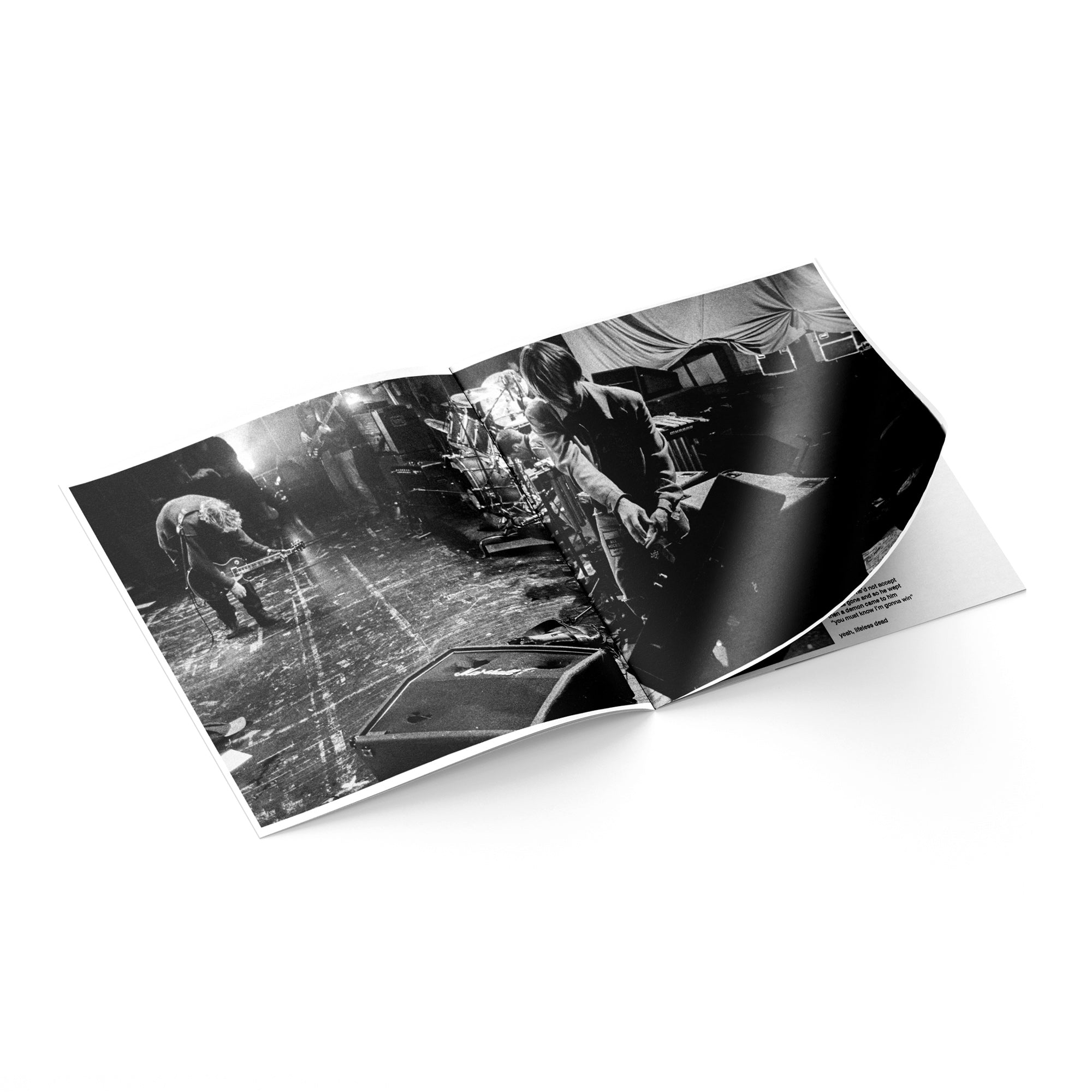 MAD SEASON 'ABOVE’ 30TH ANNIVERSARY EDITION 2LP (Black Vinyl)