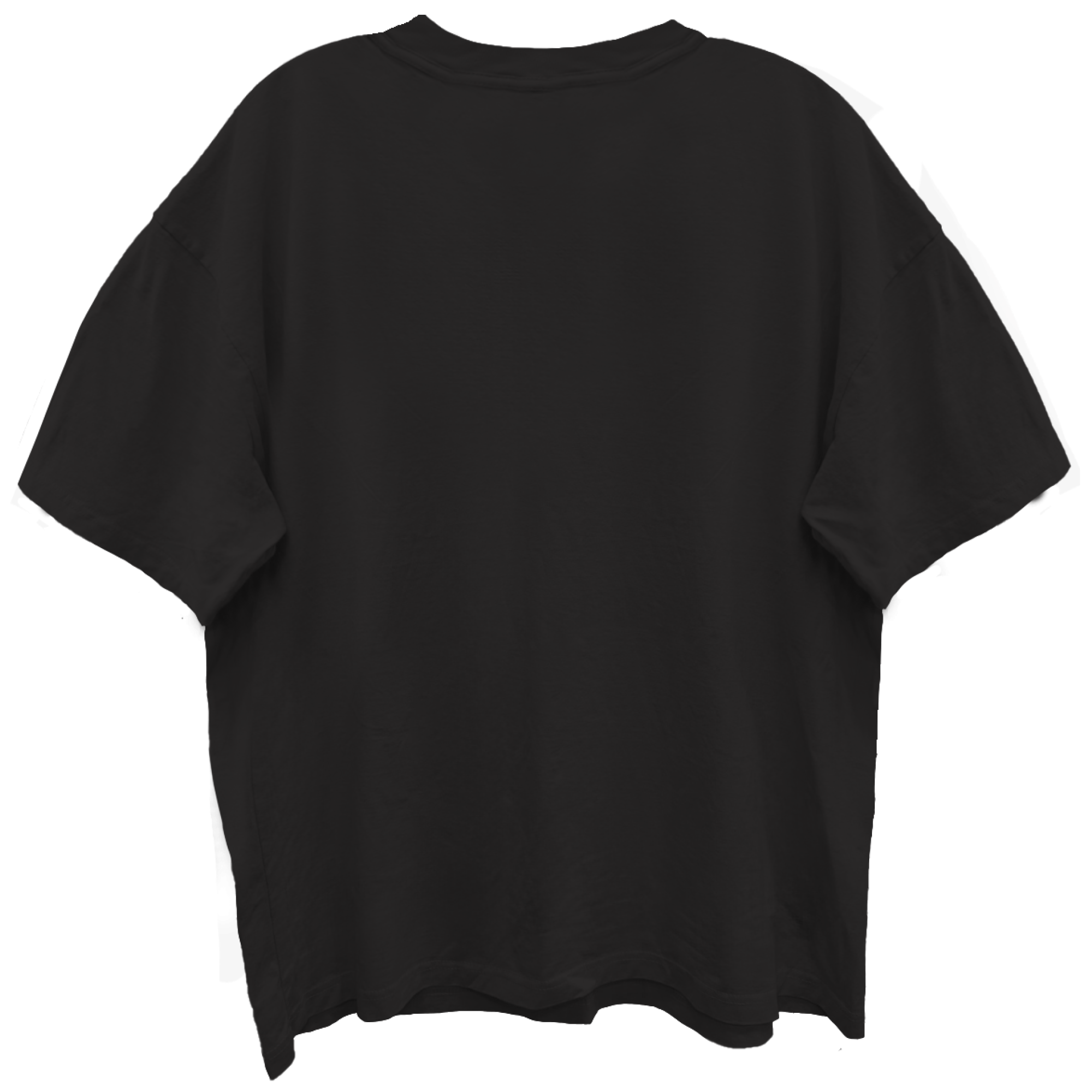 LENNY KRAVITZ UNIVERSAL LOVE TOUR LIMO BLACK ENZYME WASH T-SHIRT/GIANT VINTAGE T-SHIRT