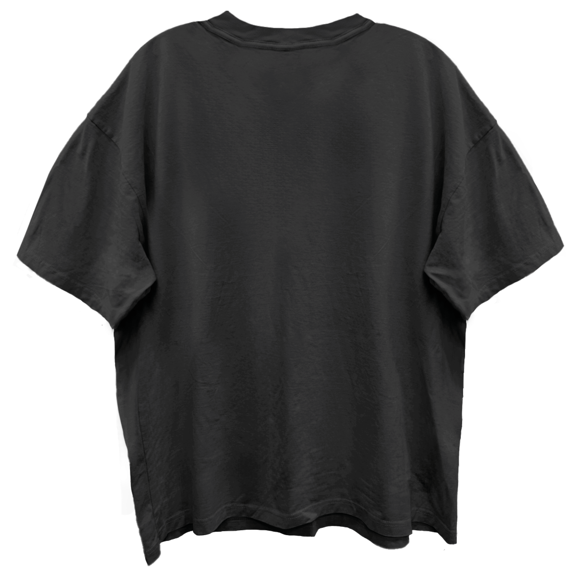AEROSMITH GUITAR WINGS VINTAGE BLACK ENZYME WASH T-SHIRT/GIANT VINTAGE T-SHIRT