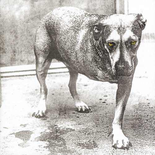 ALICE IN CHAINS 'ALICE IN CHAINS' CD