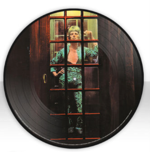 DAVID BOWIE 'THE RISE AND FALL OF ZIGGY STARDUST AND THE SPIDERS FROM MARS' LP (Picture Disc)