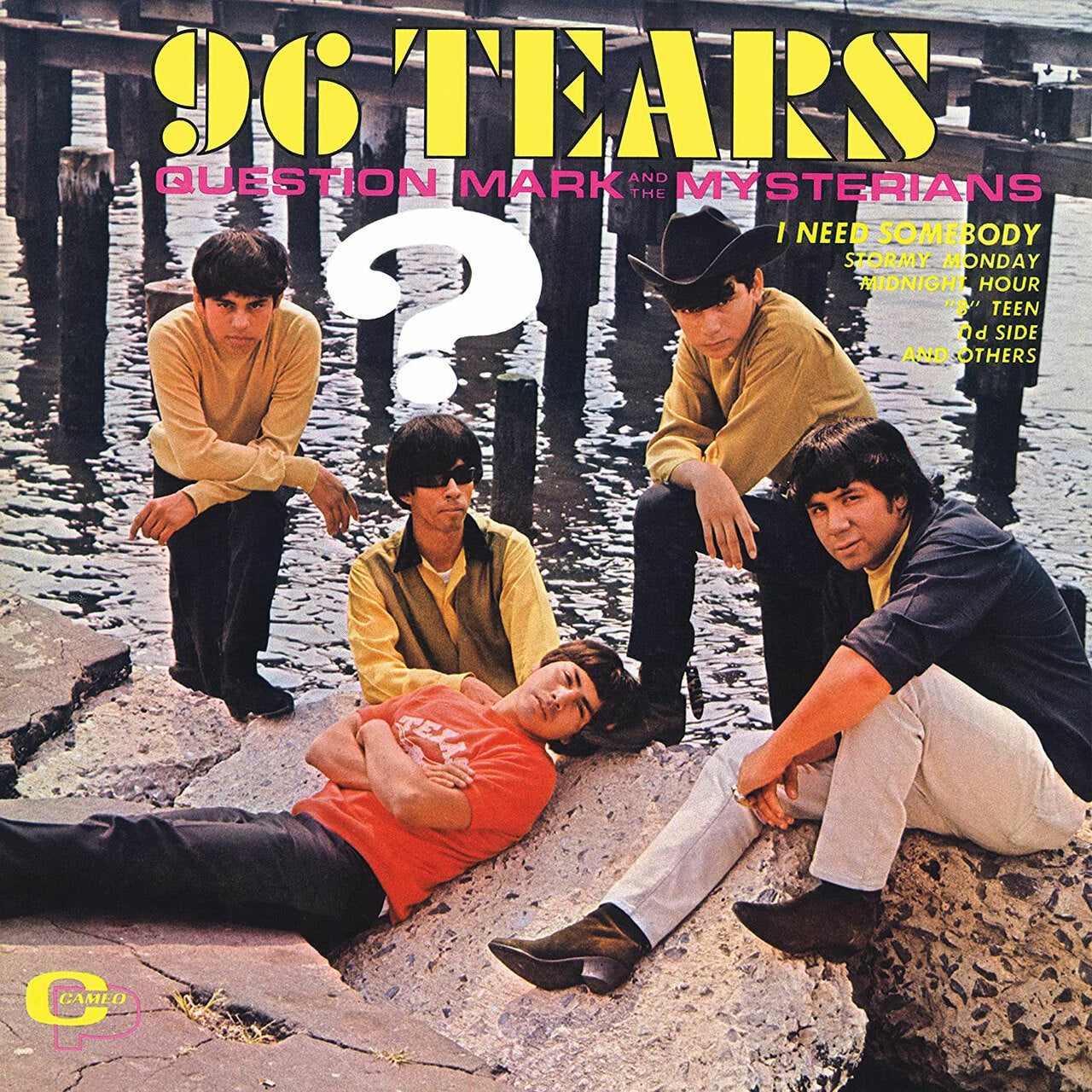 QUESTION MARK & THE MYSTERIANS '96 TEARS' LP