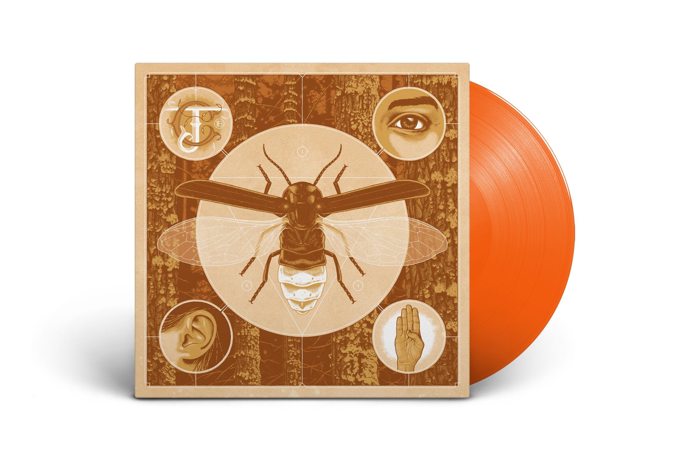 JERRY CANTRELL ‘BRIGHTEN’ LIMITED-EDITION HALLOWEEN ORANGE VINYL— ONLY 500 MADE