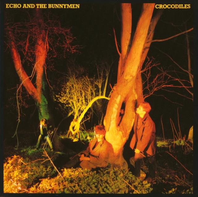 ECHO & THE BUNNYMEN  'CROCODILES' LP