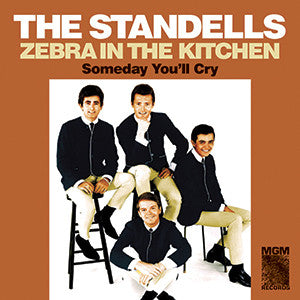 THE STANDELLS 'ZEBRA IN THE KITCHEN / SOMEDAY YOU'LL CRY' 7"